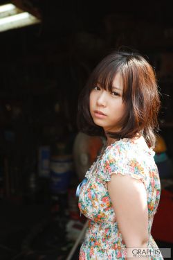 我的兽夫们